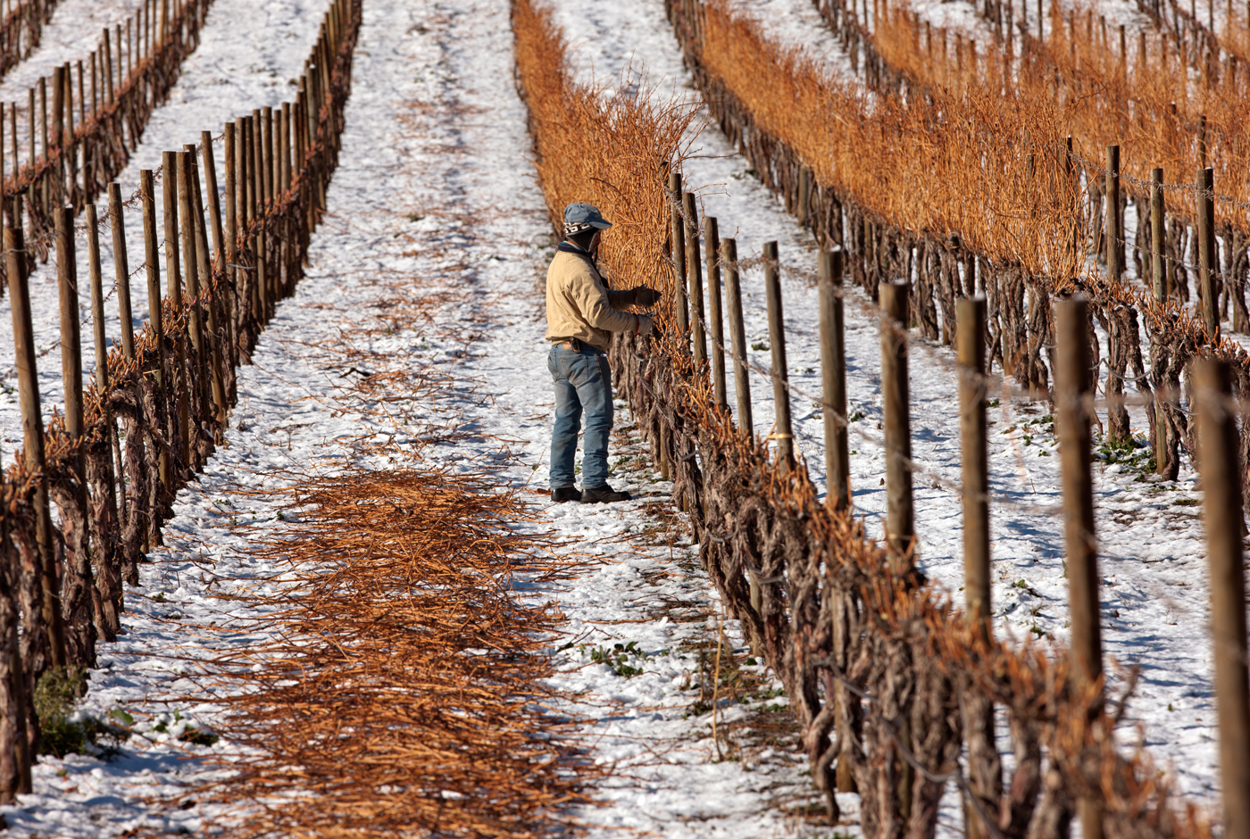 Aspectos simbólicos que rodean a la vitivinicultura chilena