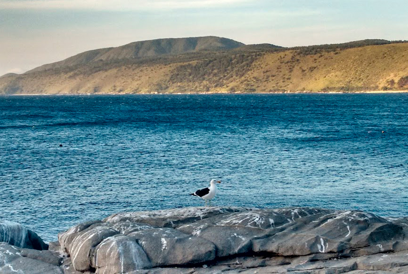 Carretera hídrica vs agua desalinizada: El sentido de realidad