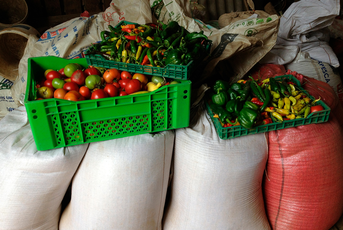 Chile alimenta a Chile