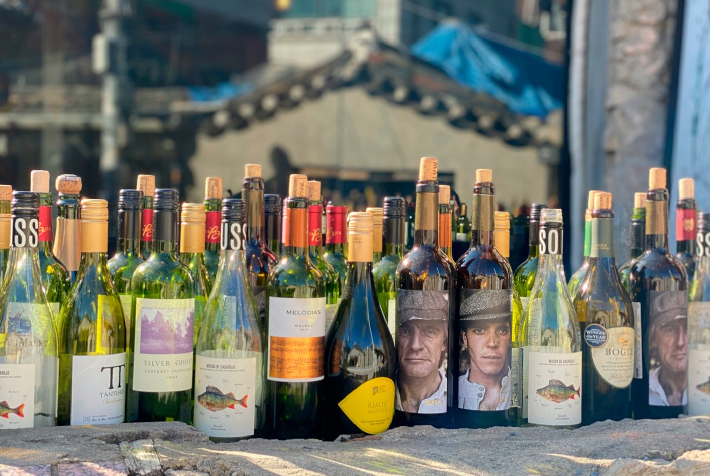 Cómo surgió el Nuevo Mundo del vino