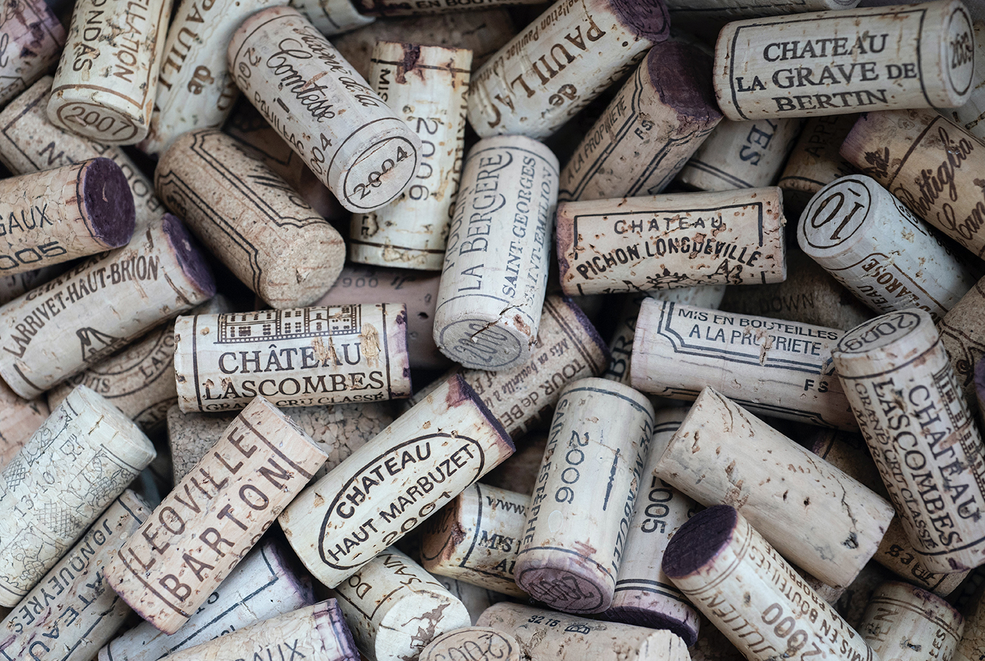 E-commerce como alternativa a la pandemia