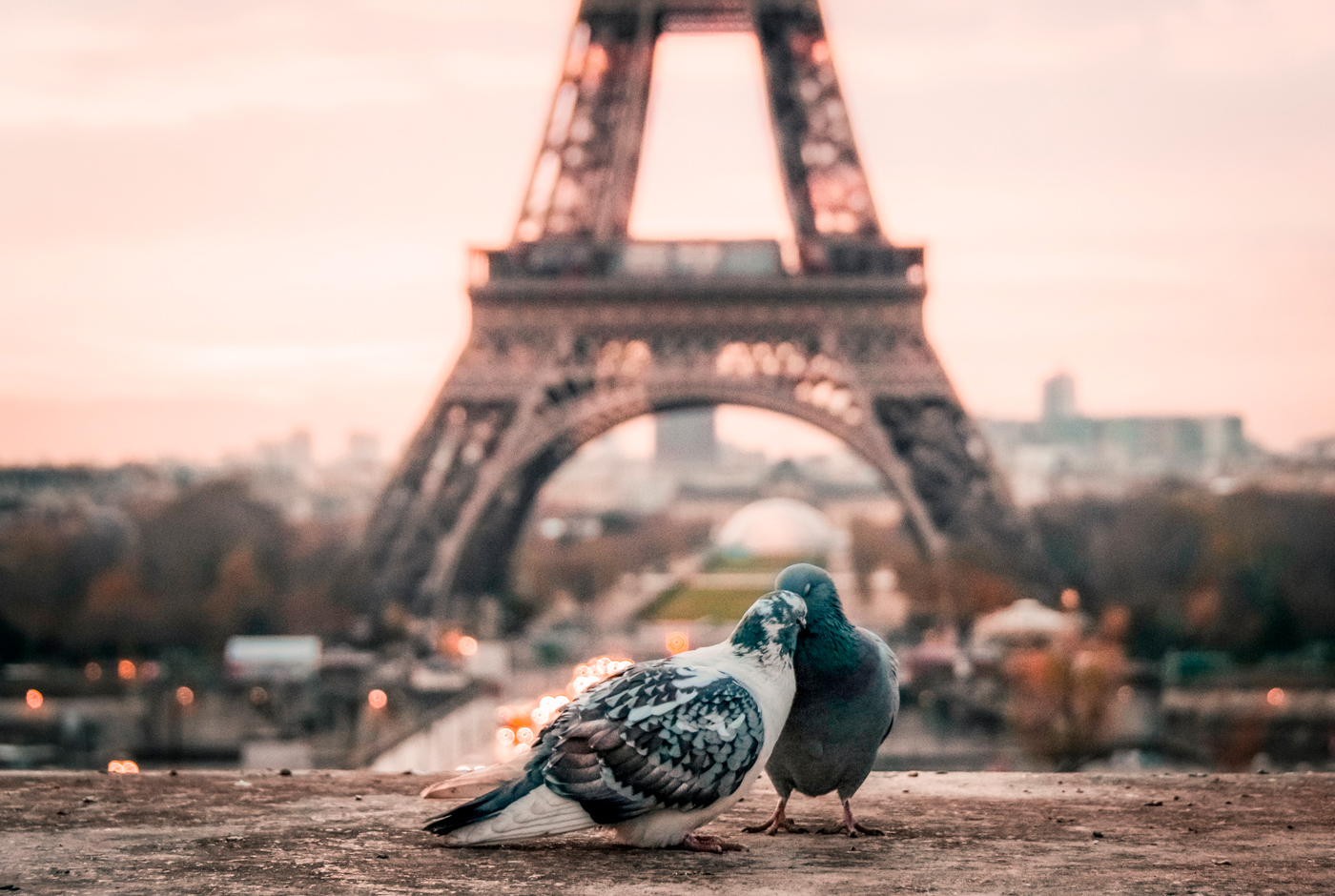 El patrimonio sensorial del campo, la nueva apuesta para la ruralidad