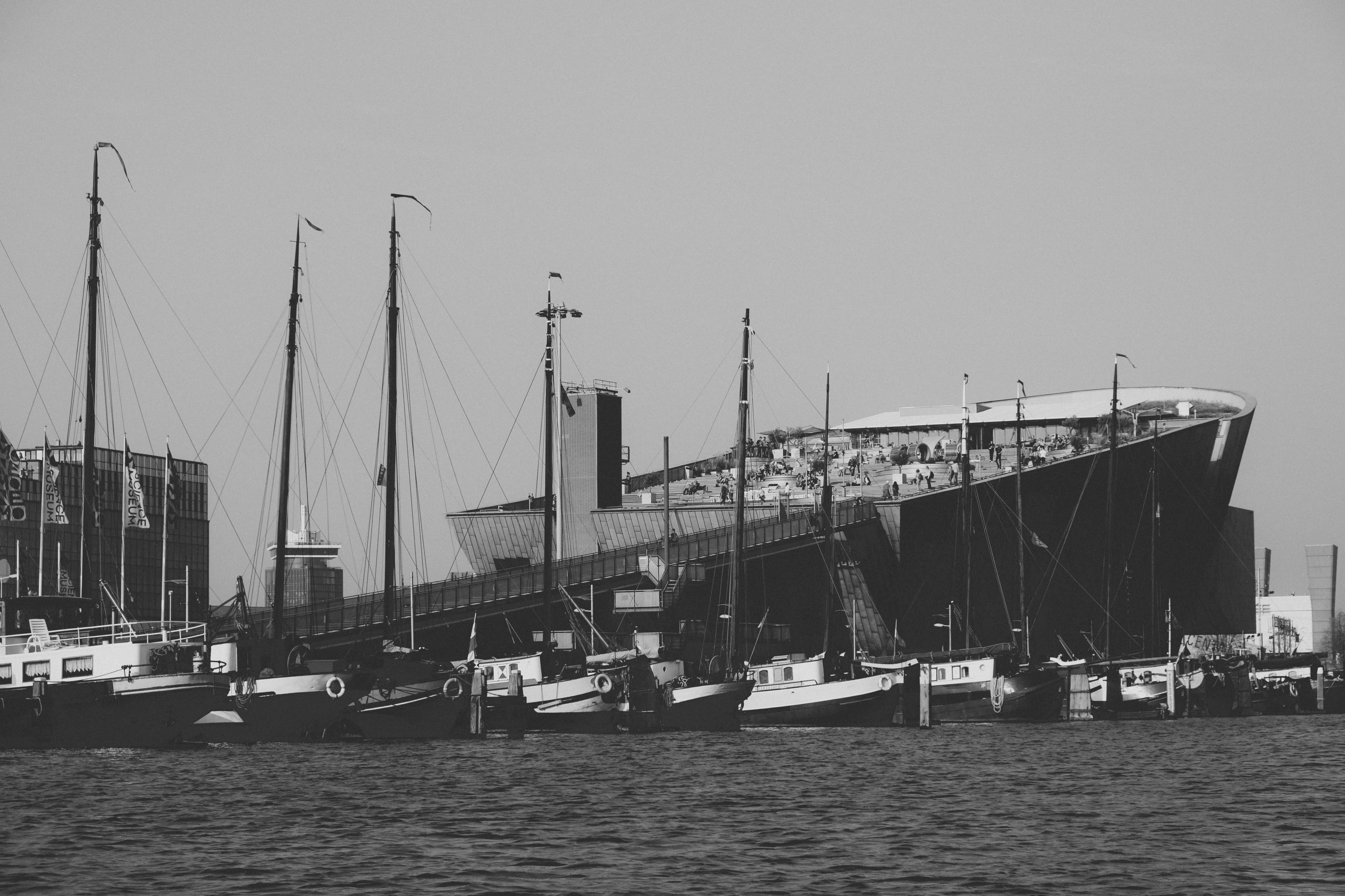 El siniestro caso de las uvas envenenadas