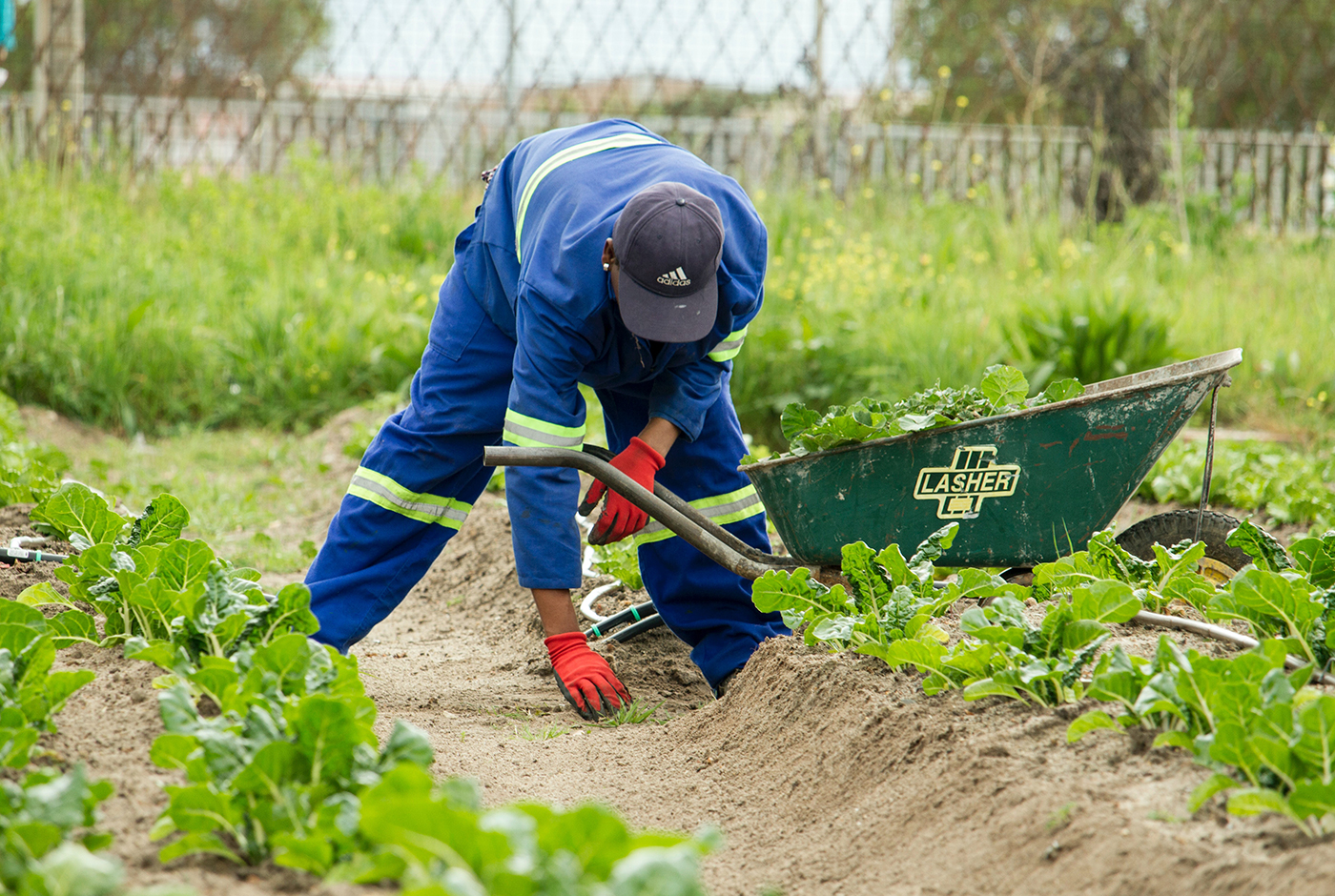 Escases de trabajo en el agro: ¿subir los salarios o aumentar la oferta?