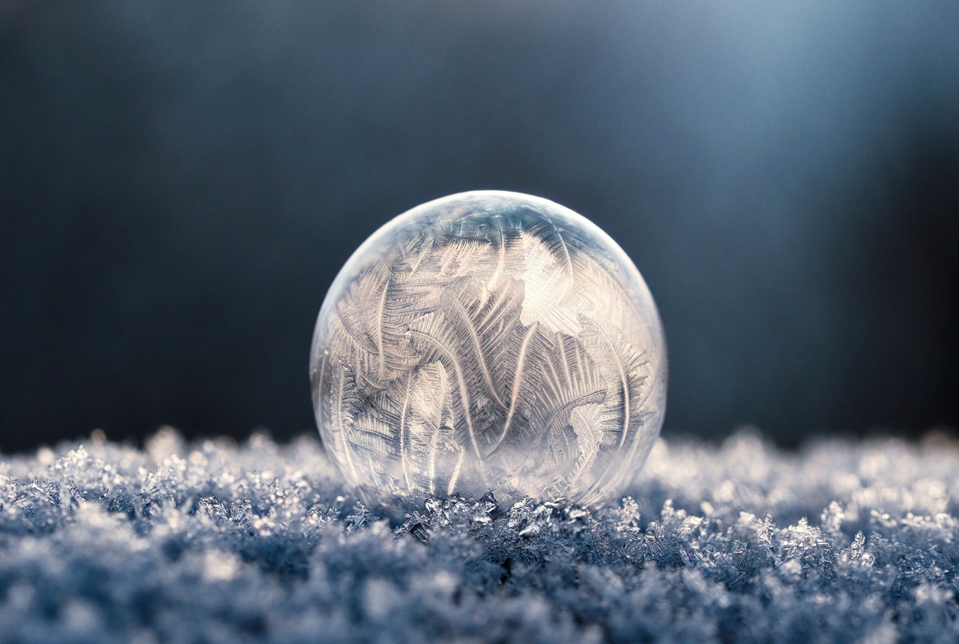 La Era del Hielo: Una breve historia de la refrigeración