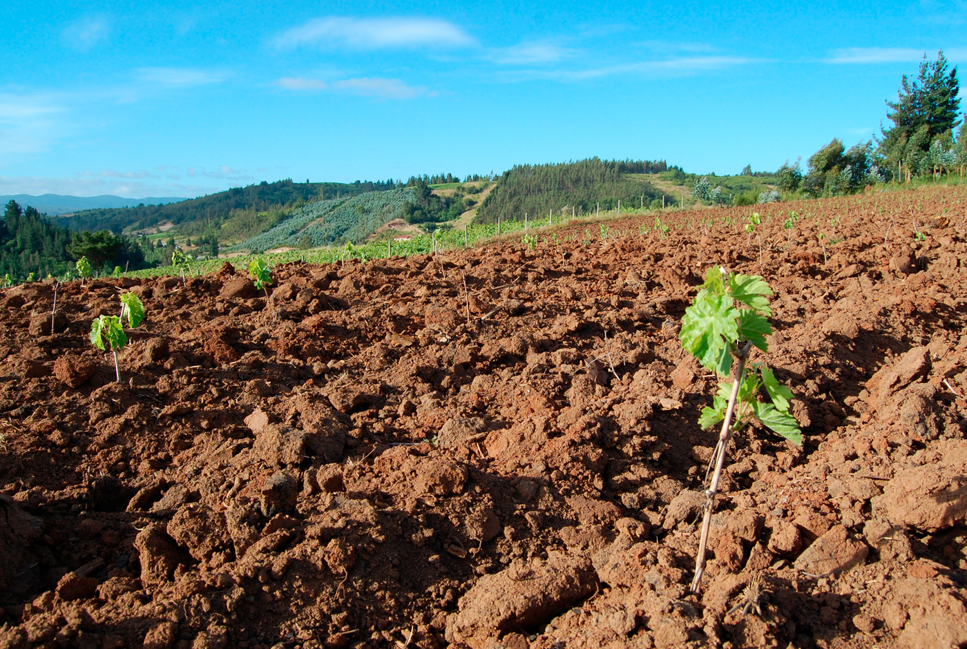 MINAGRI: Estado, política pública y agricultura