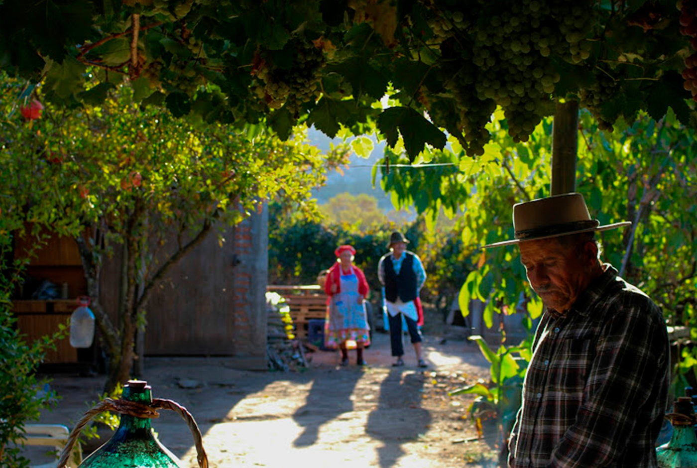 Sobre el origen de la chicha. Parte II