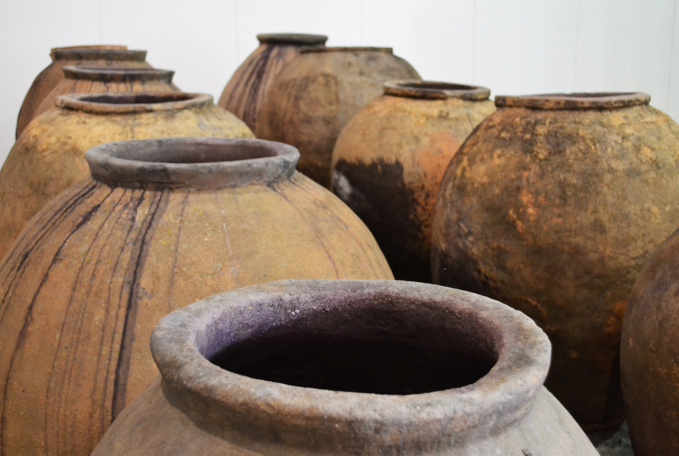 Sobre el origen de la chicha. Parte I