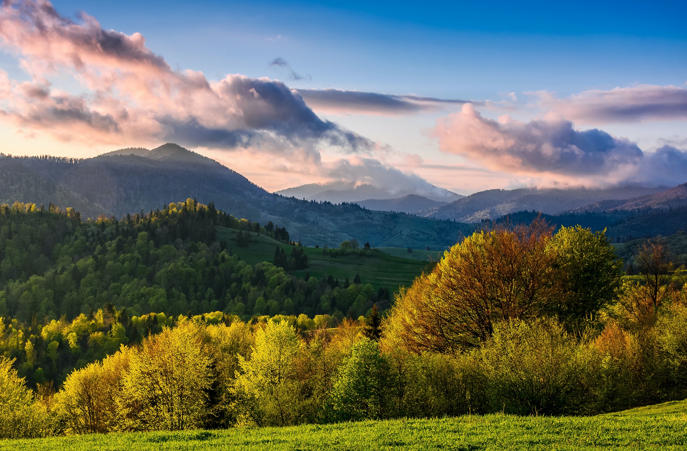 Sostenibilidad: el gran desafío para el futuro del vino