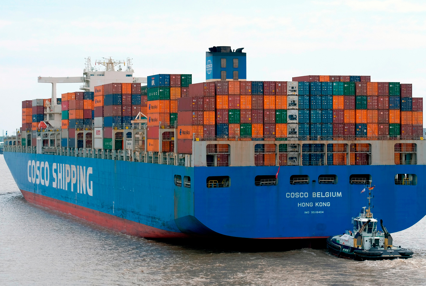 TPP-11 en la industria del vino