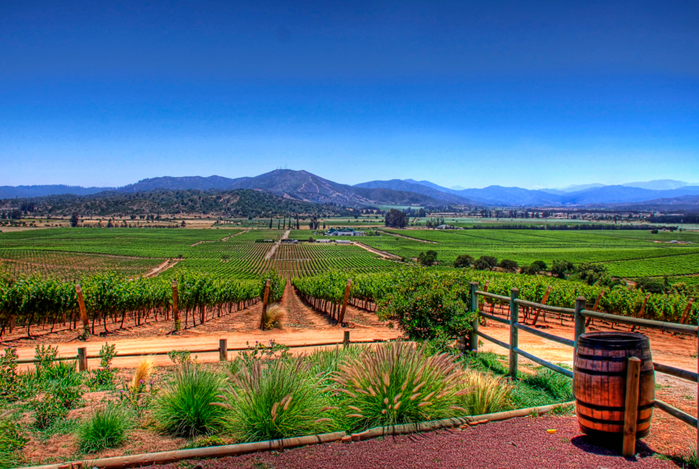 Le paysage viticole à des fins touristiques