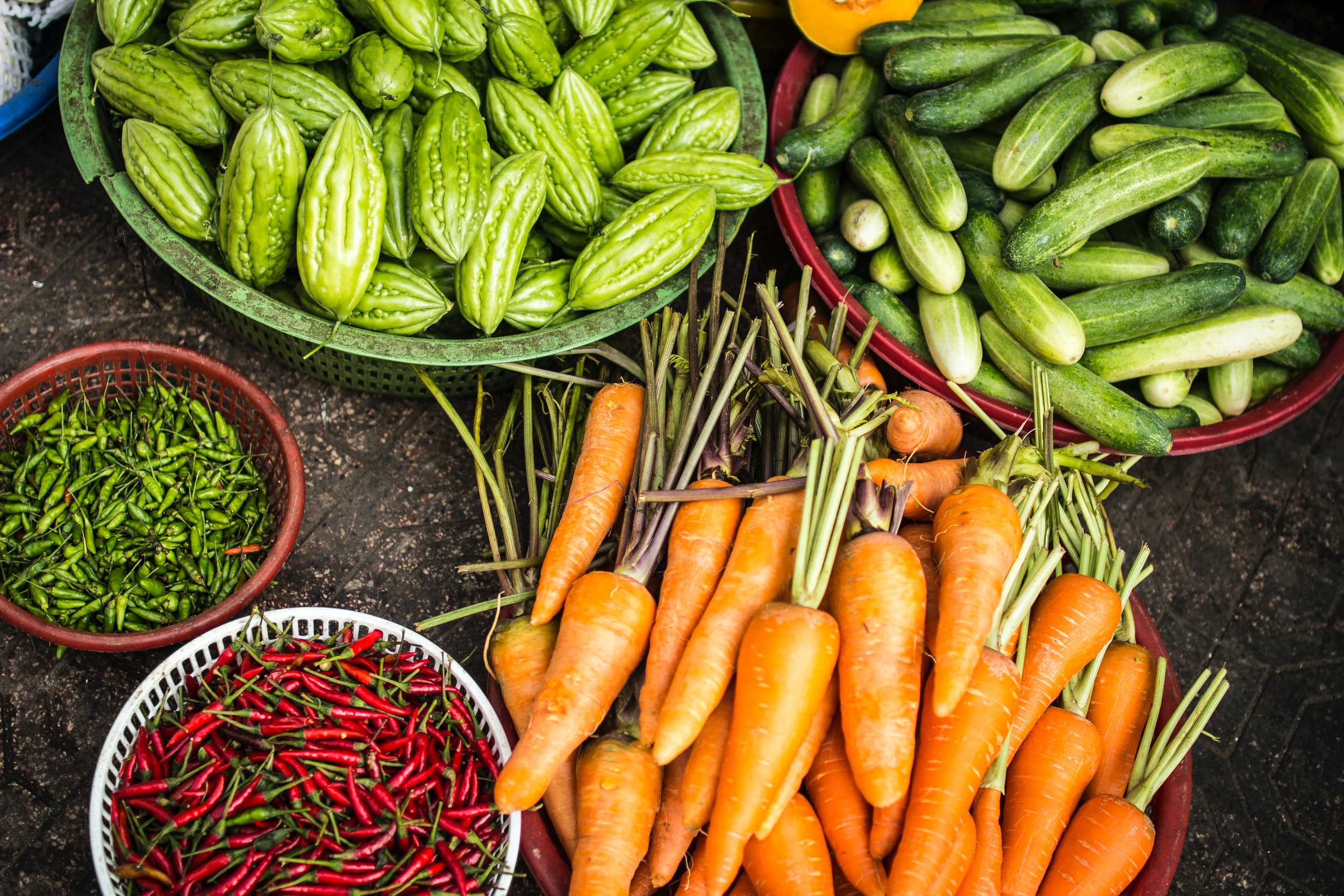 El Estado y la agricultura: metodología clínica, diagnóstico y tratamiento