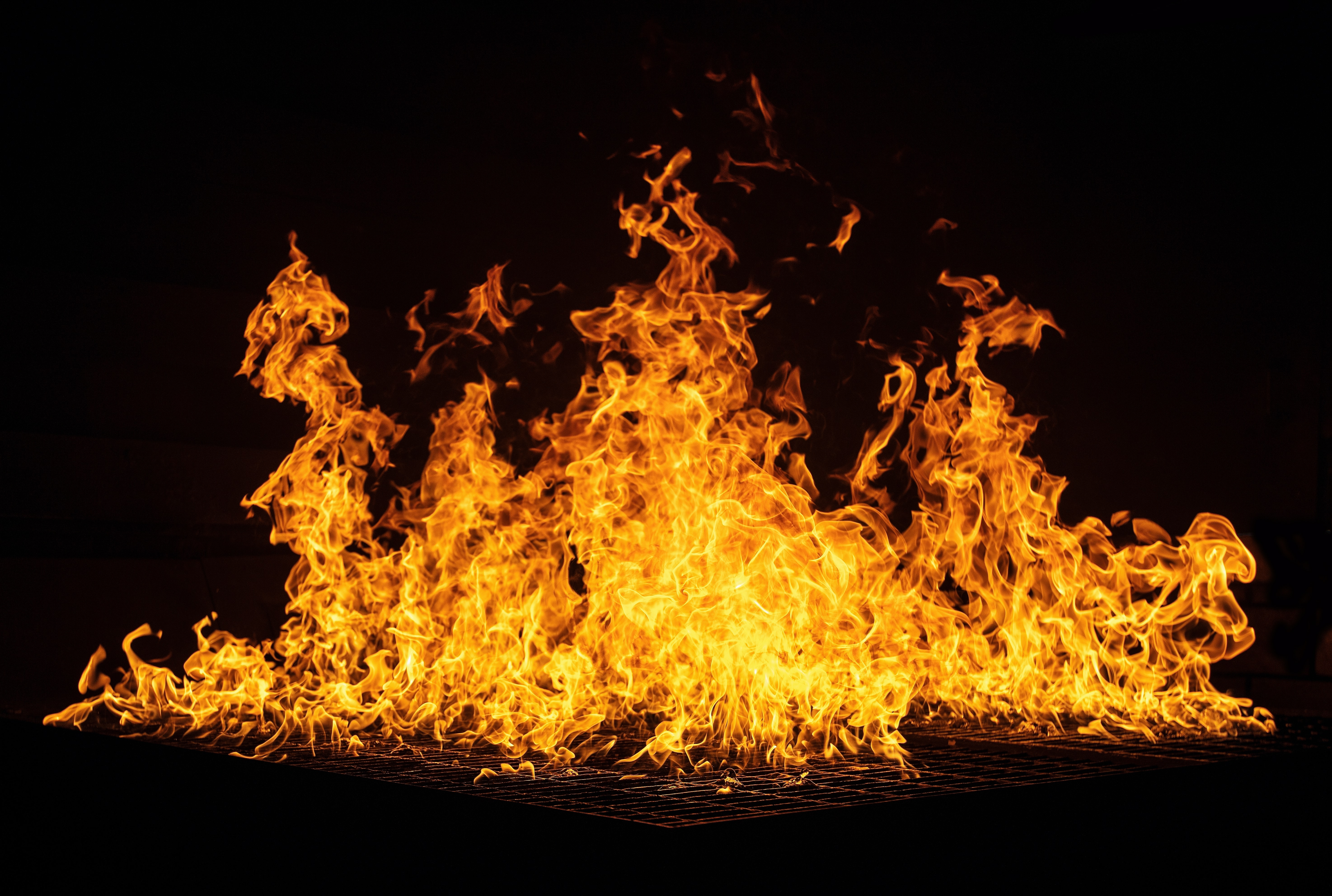 Incendios forestales en Chile: ¿Intencionales o accidentales?