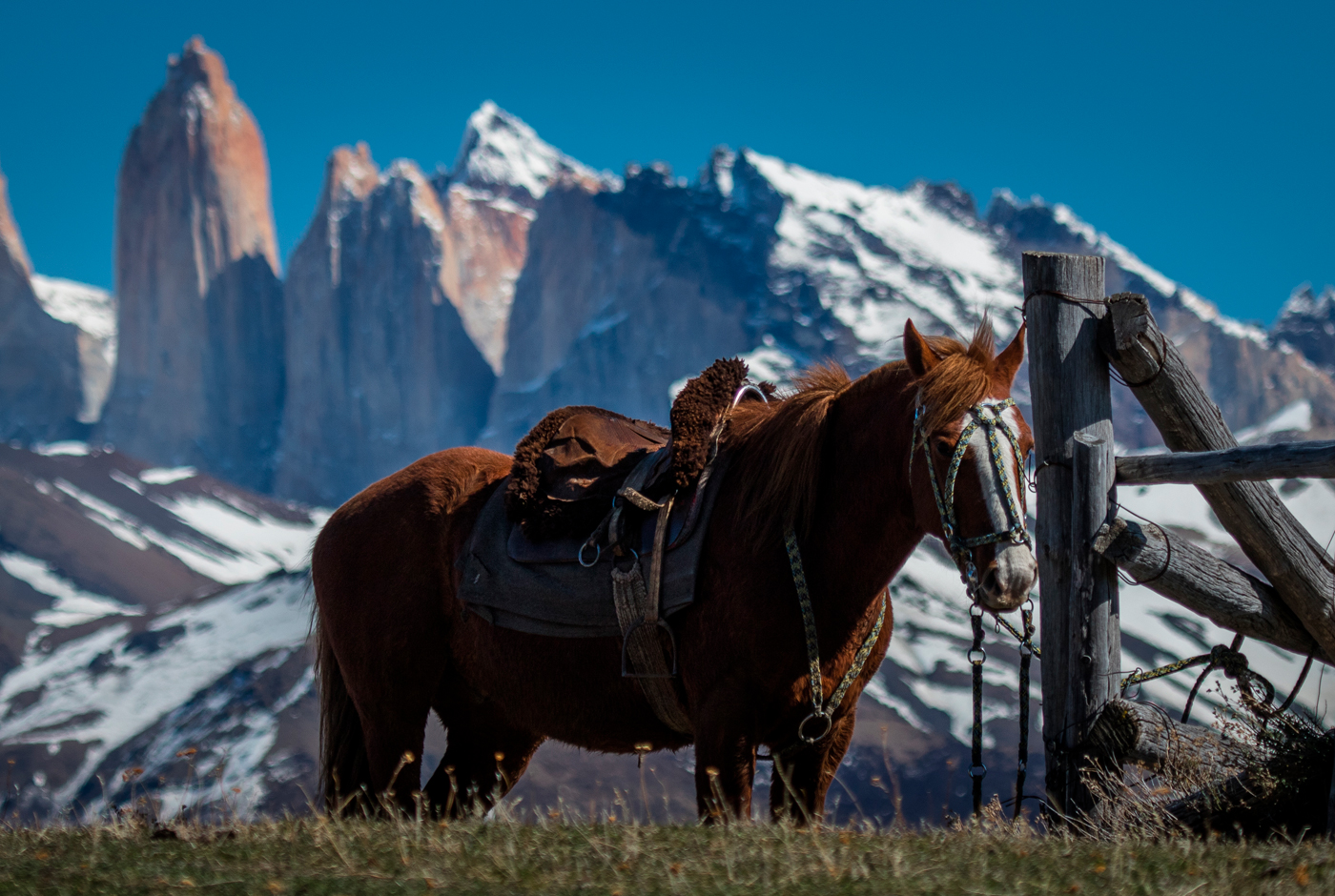 Mulares y Turismo