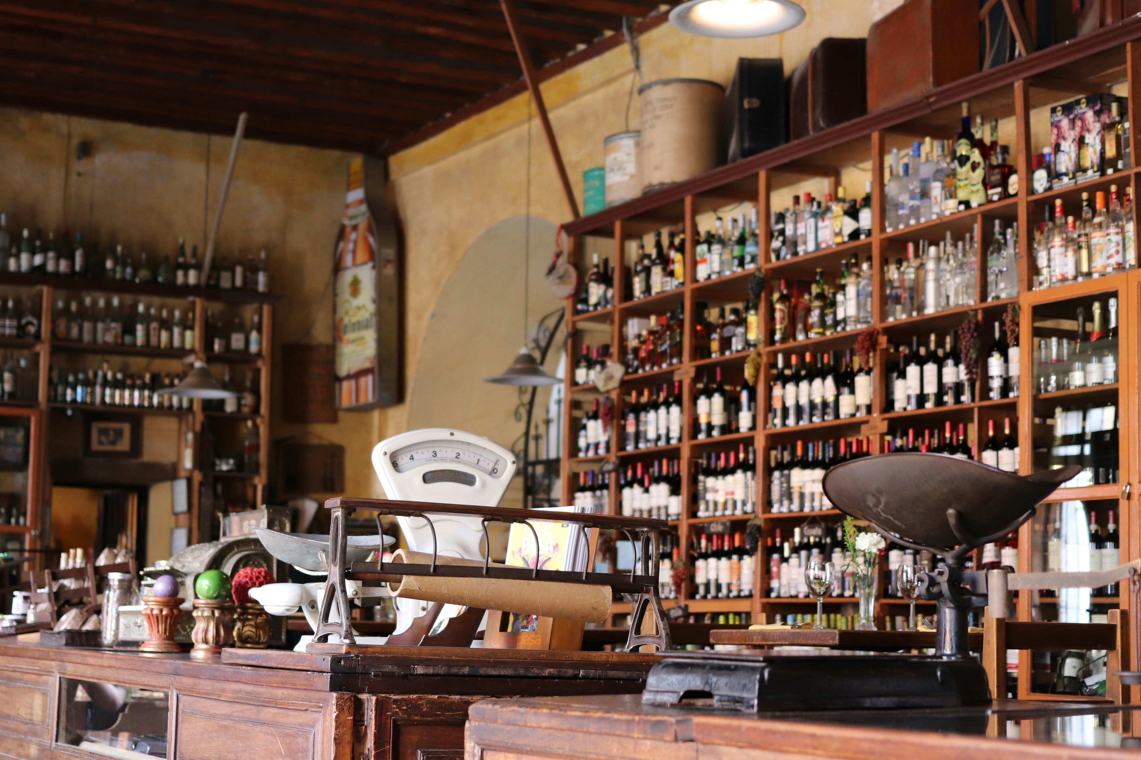 ¿Cuál es el vino más argentino?